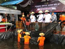 Plt Dirjenpas Pimpin Panen Satu Ton Ikan Nila di Kolam SAE Lapas Narkotika Karang Intan
