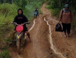 Pemkab Kotabaru Diminta Bertindak Cepat Atasi Jalan Rusak di Sulangkit