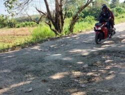 Kerusakan Jalan Utama Bajuin Menyulitkan Akses Transportasi, PUPR Tanah Laut Bergerak Cepat