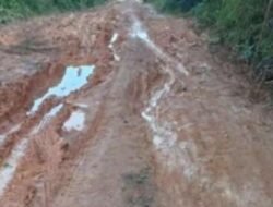 Netizen Geram dengan Kondisi Jalan Menuju Desa Tanjung Pangga di Kelumpang Selatan, Kabupaten Kotabaru