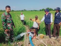 Babinsa Koramil 13/Nogosari Kodim 0724/Boyolali Dampingi Penyuluh Pertanian dalam Program Pompanisasi