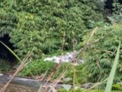 Warga Desa Cantung Kanan Desak Pemerintah Untuk Menyediakan Tempat Pembuangan Sampah
