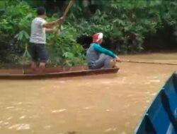 Geger, Warga Cantung Kiri Hilir Diterkam Buaya Saat Mandi Disungai