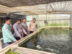 Bhabinkamtibmas Tegalrejo Dorong Warga Manfaatkan Lahan Pekarangan Untuk Budidaya Ikan Nila