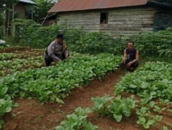 Terus Dukung Ketahanan Pangan Nasional, Bhabinkamtibmas Kunjungi Pekarangan Pangan Warga Desa Tirawan