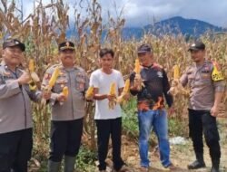 Dukung Ketahanan Pangan Nasional, Polres Kotabaru Bersama Kelompok Tani Rukun Makmur Desa Peramasan 2×9 Sukses Panen Jagung Seluas 15Ha