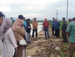 Kepala DPKP Kalsel Bersama Kadis Pertanian HSU Pantau Progres Pembangunan Jalan Usaha Tani