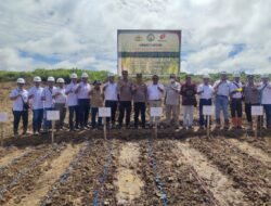 Dukung Ketahanan Pangan Nasional,Polres Kotabaru Bersama PT Laguna Mandiri (Minamas) Gelar Penanaman Jagung Dilahan Seluas 2 Ha