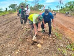 Wujud Nyata Pelestarian Lingkungan, Satgas TMMD ke-123  Tanam Pohon Bersama Masyarakat Desa Talusi
