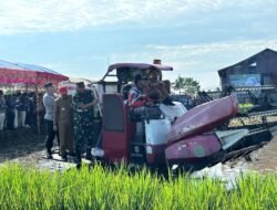 Pangdam VI/Mulawarman Pimpin Panen Raya dan Tanam Serentak di Kalimantan Selatan untuk Dukung Ketahanan Pangan Nasional