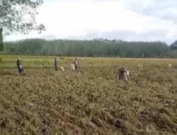 LSM Kalsel Desak Polisi Usut Dalang Premanisme di Baliangin