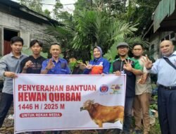 Lagi, Indocement Tarjun Serahkan Hewan Qurban Untuk Awak Media Kotabaru Pada Idul Adha 1446H