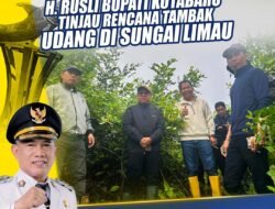 Survei Rencana Lokasi Percontohan Tambak, Langkah Nyata Bupati Kotabaru Dukung Ketahanan Pangan