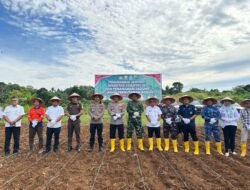 Wujud Nyata Dukung Ketahanan Pangan Nasional, Polres Kotabaru Gelar Penanaman Jagung Serentak