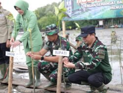 Peringati HUT Ke-67 Kodam VI/Mulawarman, Tanam Mangrove di Kawasan Pesisir Tanah Bumbu