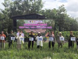 Panen Bawang di Pugaan Jadi Ajang Sinergi Polri, Pemerintah, dan Rakyat