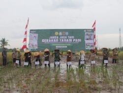 Dukung Ketahanan Pangan, Kejati Kalsel dan Kejari Banjar Gelar Panen Raya dan Tanam Padi di Jambu Raya
