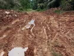 Jalan Penghubung Dua Desa di Pamukan Utara Viral di Media Sosial : Warga Tuntut Perhatian Serius Pemerintah Daerah