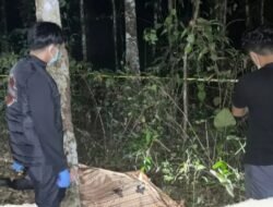Diduga Meninggal Beberapa Hari, Pria Tabalong Ditemukan di Kebun