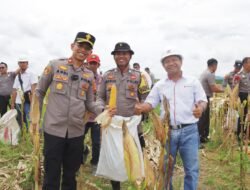 Polres Kotabaru Bersama PT. Bersama Sejahtera Sakti Panen Raya Jagung Serentak Kuartal IV di Pulau Laut Timur, Dorong Swasembada Pangan 2025