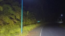 Jalan Bypass Batulicin – Banjarbaru Terang Benderang Awal Tahun 2026