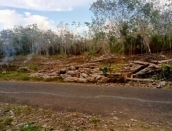 Pembangunan Tanpa Keadilan: Ketika Proyek Publik Mengorbankan Petani Kecil