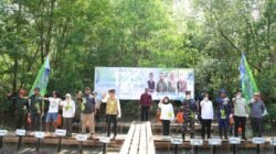 Cegah Abrasi dan Tingkatkan Kesejahteraan Masyarakat Pesisir, Bupati Andi Rudi Larif dan Kaka Slank Tanam Magrove di Pesisir Tanah Bumbu