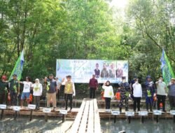 Cegah Abrasi dan Tingkatkan Kesejahteraan Masyarakat Pesisir, Bupati Andi Rudi Larif dan Kaka Slank Tanam Magrove di Pesisir Tanah Bumbu