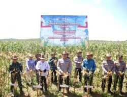 Panen Raya Jagung dan Launching SPPG Polri, Tanah Bumbu Perkuat Ketahanan Pangan dan Gizi Masyarakat