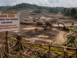 Sengketa Tambang di Barito Utara, Warga Adat Desa Kerendan Minta Presiden dan Komnas HAM Turun Tangan