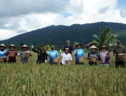 Panen Raya di Teluk Mesjid, Bupati Rusli Siapkan Kotabaru Jadi Lumbung Pangan