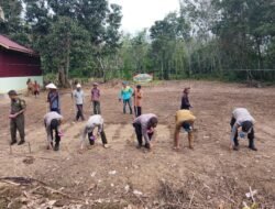 Polsek Banua Lawas Bersama Poktan Sumber Rezeki Tanam Jagung Serentak Dukung Swasembada Pangan 2026