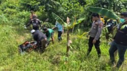 Pergi ke Kebun Tak Kembali, Pria Asal Lumajang Ditemukan Meninggal di Satui