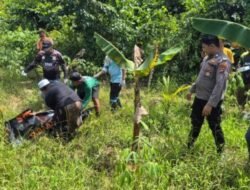 Pergi ke Kebun Tak Kembali, Pria Asal Lumajang Ditemukan Meninggal di Satui