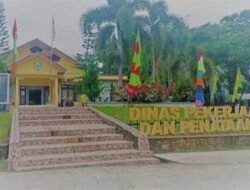 Viral di TikTok, PUPRPerkim Balangan Bergerak Cepat Tanggapi Kerusakan Jalan Awayan–Pematang