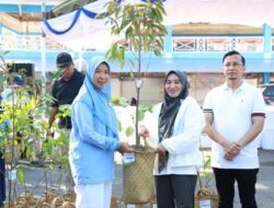 Hari Lingkungan Hidup Sedunia 2026, Pemkab Tanah Bumbu Distribusikan Bibit Tanaman untuk Penghijauan