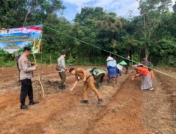 Polres Tabalong Dukung Swasembada Pangan 2026 Melalui Penanaman Jagung Pakan Serentak Kuartal II Di Muara Harus