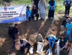 Pemprov Kalsel Dorong Pengembangan Kampung Papuyu, 20 Ribu Benih Ikan Disalurkan ke Pembudidaya
