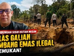 Tim Gabungan Temukan Bekas Lubang Tambang Ilegal di Hutan Dambung, Ketua LSM Pemuda Kalimantan Minta Kapolres Kejar Dalangnya