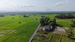 Infrastruktur Desa Sepunggur Meningkat, Akses Pertanian hingga Wisata Kian Terbuka
