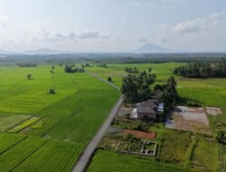 Infrastruktur Desa Sepunggur Meningkat, Akses Pertanian hingga Wisata Kian Terbuka
