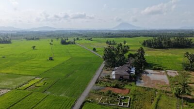 Infrastruktur Desa Sepunggur Meningkat, Akses Pertanian hingga Wisata Kian Terbuka