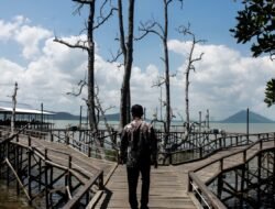 Akses Jalan Ditingkatkan, Wisata Mangrove Kersik Putih Kian Diminati Wisatawan