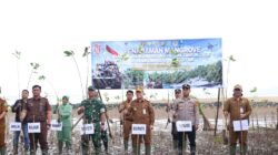HUT ke-81 TNI, 1.000 Mangrove Ditanam di Muara Pagatan
