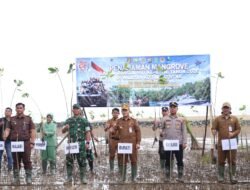HUT ke-81 TNI, 1.000 Mangrove Ditanam di Muara Pagatan