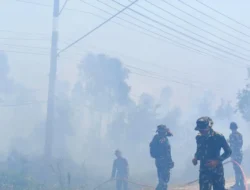 102 Kejadian Karhutla Terjadi di Tanah Bumbu, Bupati Perkuat Kesiapsiagaan Satgas