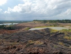 MATRAS Minta Bareskrim Periksa Aktivitas BIB yang Diduga Terkait Kawasan Hutan