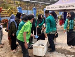 Baru Dibuka, Gerai Ikan Murah Kotabaru Diserbu Warga! 100 Kilogram Ikan Ludes Diminati Pembeli